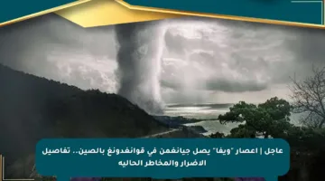 عاجل | إعصار “ويفا” يصل جيانغمن في قوانغدونغ بالصين.. تفاصيل الأضرار والمخاطر الحالية
